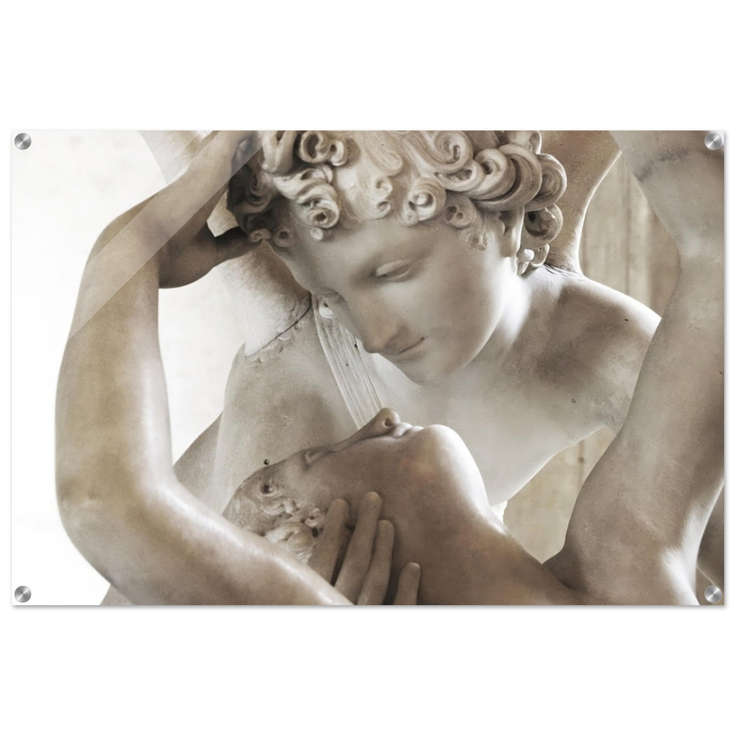 236e2188-a4ec-428d-a67f-569b36d6b996