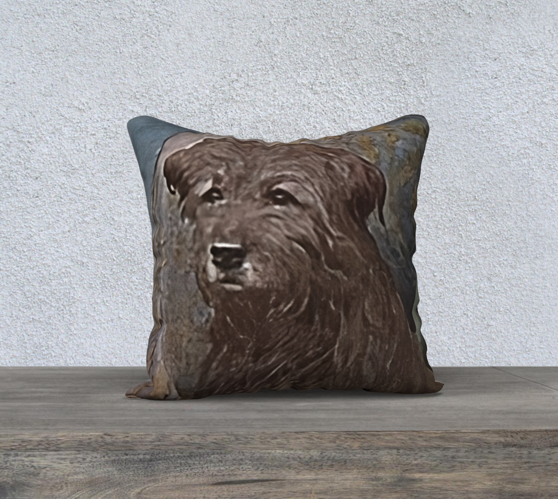 18 x 18 Throw Pillowcase